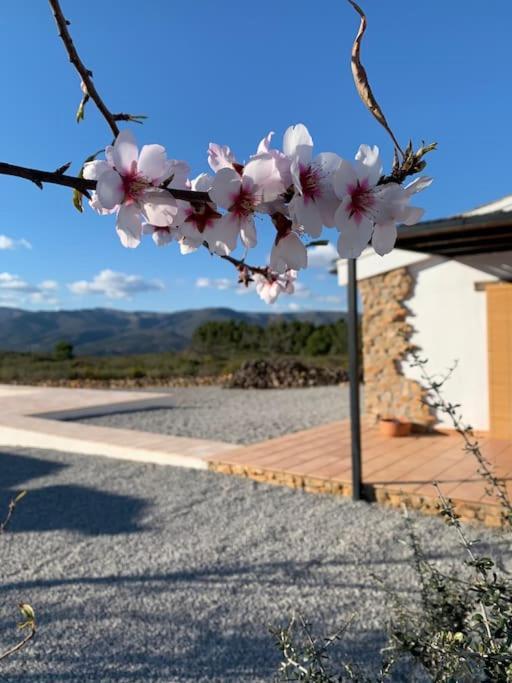 La Llobatera Casa Rural Les Coves de Vinroma Exterior foto
